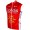COFIDIS 2015 Wind-Weste Radsport-Profi-Team