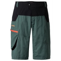 MEN QIMSA SHORTS Bike Shorts grün