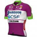 BARDIANI CSF FAIZANE' 2022 Radtrikot kurzarm(langer RV)-ALE Radsport-Profi-Team Radtrikot Kaufen