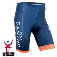2015 Vini Fantini NIPPO Kurz Radhose Radtrikot Kaufen