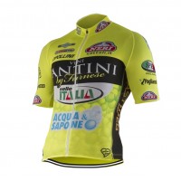 2015 Vini Fantini Radtrikot Kurzarm Radtrikot Kaufen