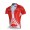 Nalini Pro Team Radtrikot Kurzarm Rot Radtrikot Kaufen