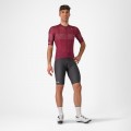 Herren Trofeo Giro d'Italia 2024 Trikot-Bordeaux Radtrikot Kaufen