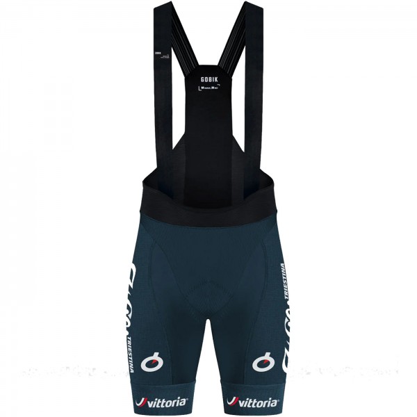 Herren Gobik Wilier Vittoria 2024 Absolute 6.0 K10 tragerhose Radtrikot Kaufen Herren Gobik Wilier Vittoria 2024 Absolute 6.0 K10 tragerhose Radtrikot Kaufen