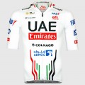 Herren Trikot Team UAE 2024 Magistrale Radtrikot Kaufen