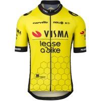 Herren Agu Team Visma Lease Trikot bei bike 2024 Radtrikot Kaufen