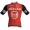 Herren Team Arkea-B&B Hotels 2025 Official Rosti trikot Radtrikot Kaufen
