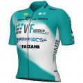 Herren Ale VF Group-Bardiani CSF-Faizane 2025 trikot Radtrikot Kaufen Herren Ale VF Group-Bardiani CSF-Faizane 2025 trikot Radtrikot Kaufen
