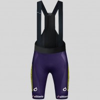 Herren Gobik Wilier Vittoria 2025 Absolute Print K10 tragerhose Radtrikot Kaufen