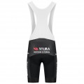 Herren Team Visma Lease a bike 2025 The Swarm tragerhose-Tdf Radtrikot Kaufen