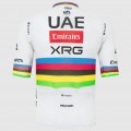 Herren UAE Team Emirates 2025 Magistrale Pissei trikot-Tadej Pogacar Radtrikot Kaufen