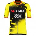 Herren Team Visma Lease a bike 2025 The Wingbeat trikot-Wout Van Aert Radtrikot Kaufen