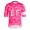 Herren Rapha EF Education EasyPost Pro Team Training 2025 Trikot Radtrikot Kaufen