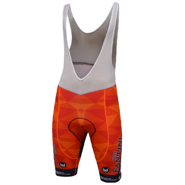 2017 Vini Fantini Nippo Race Kurz Trägerhose Radtrikot Kaufen